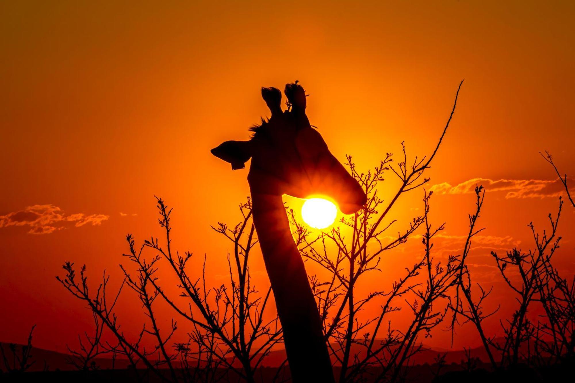 Valley Lodge - Babanango Game Reserve Dundee Bagian luar foto