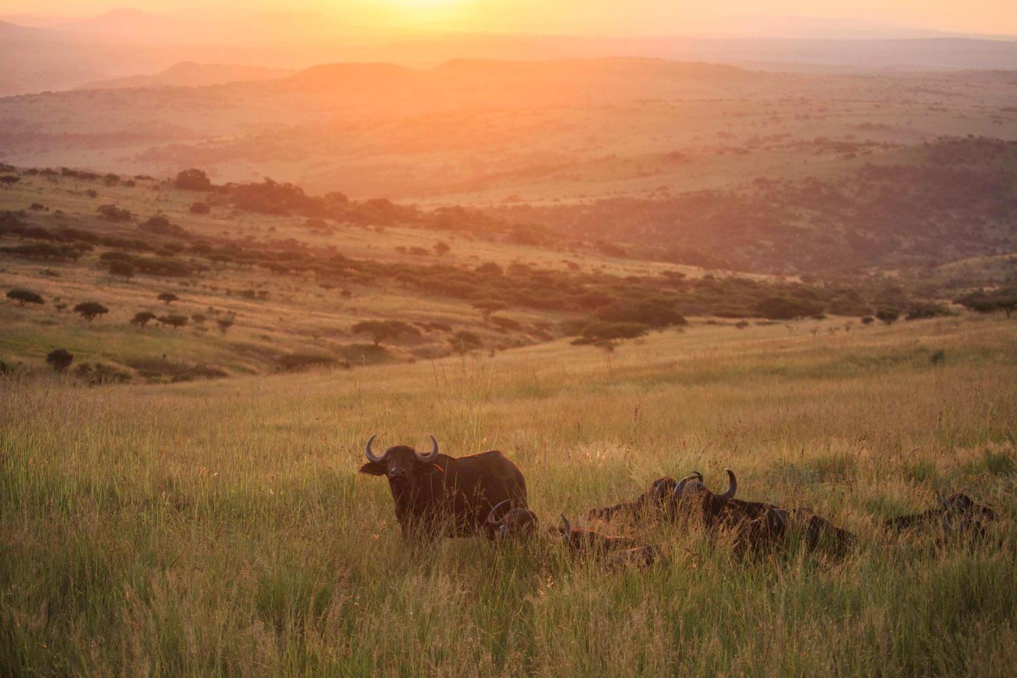 Valley Lodge - Babanango Game Reserve Dundee Bagian luar foto