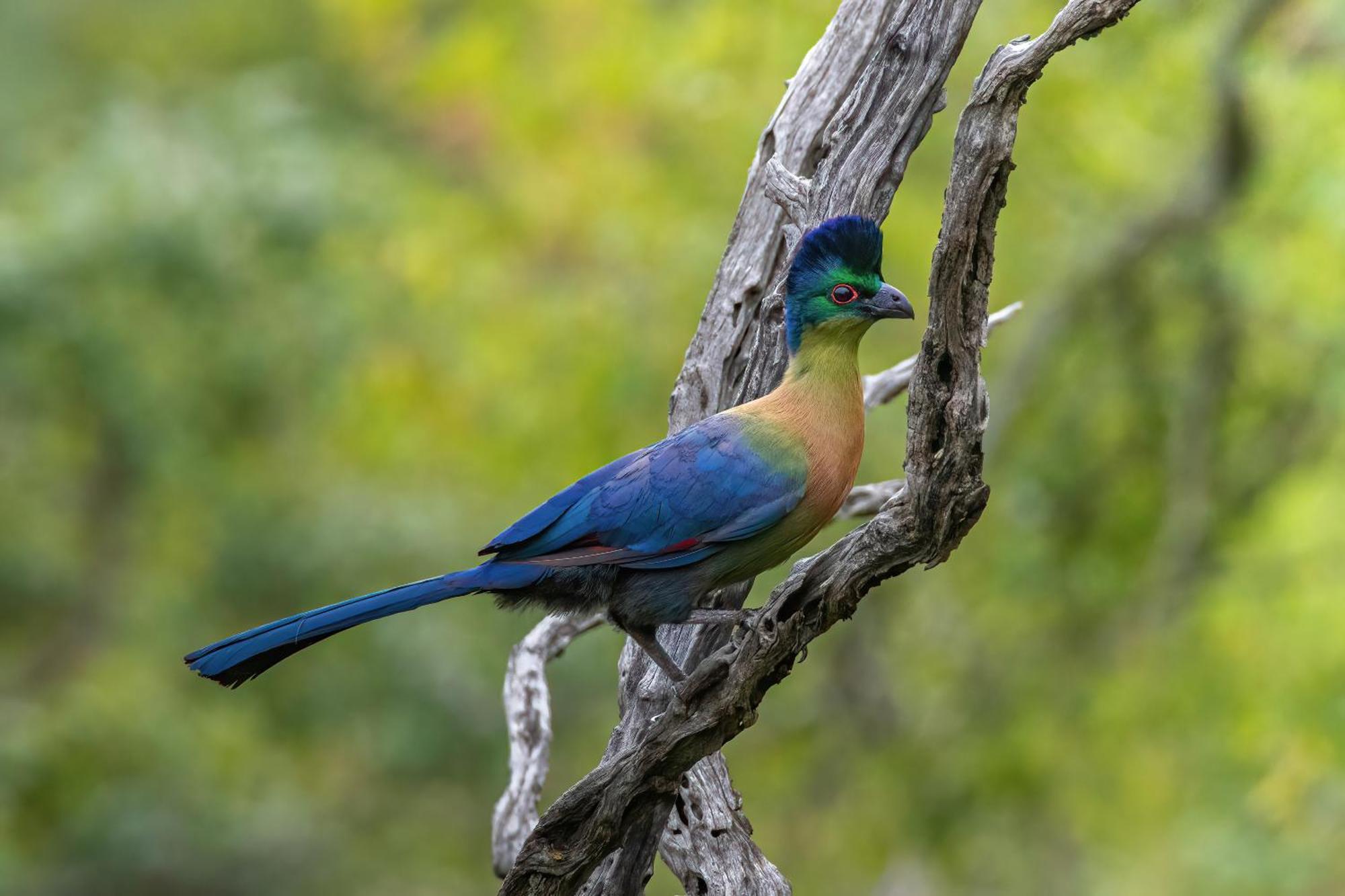 Valley Lodge - Babanango Game Reserve Dundee Bagian luar foto
